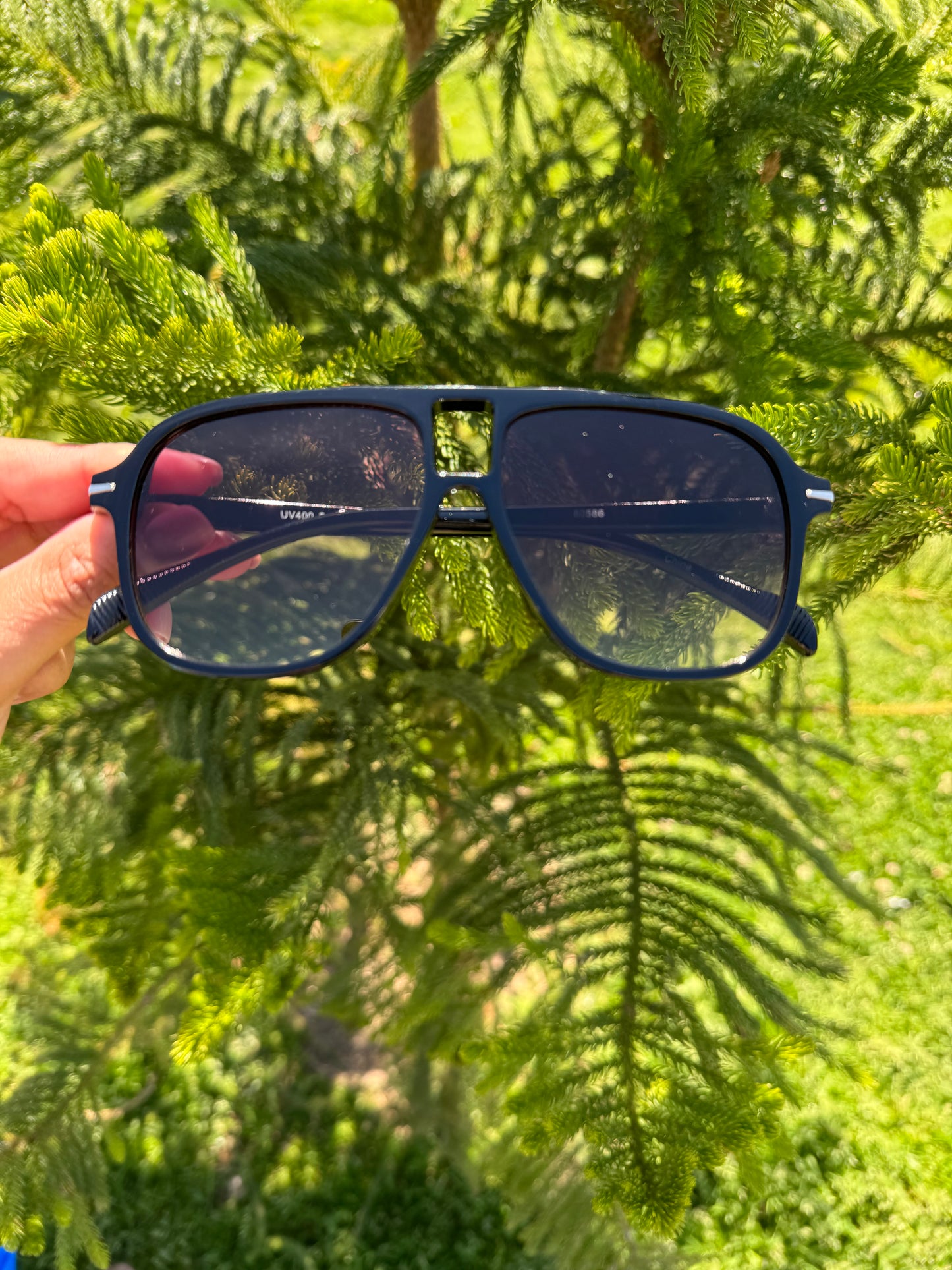 Paloma Sunnies