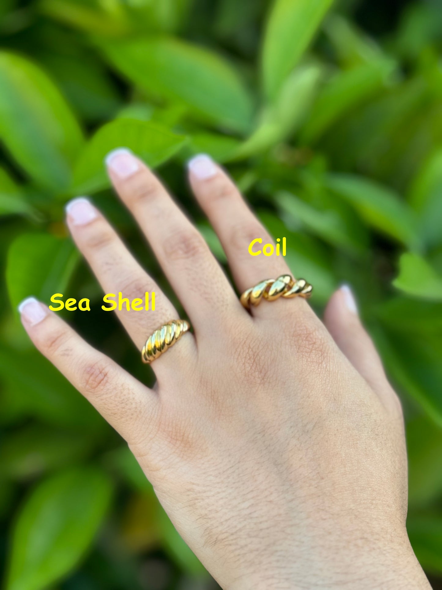 Treasure Rings